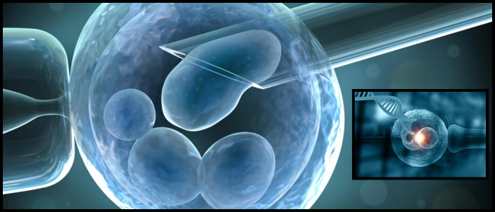 Testing Science Embryo VVD, D66 Propose Embryo Testing Expansion in Netherlands
